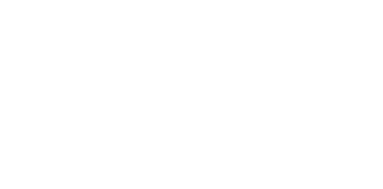 THE CAOS CLUB